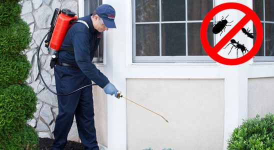 Tekman Dezenfeksiyon böcek ilaçlama ve haşere kontrolü — ilaclama-tr.com